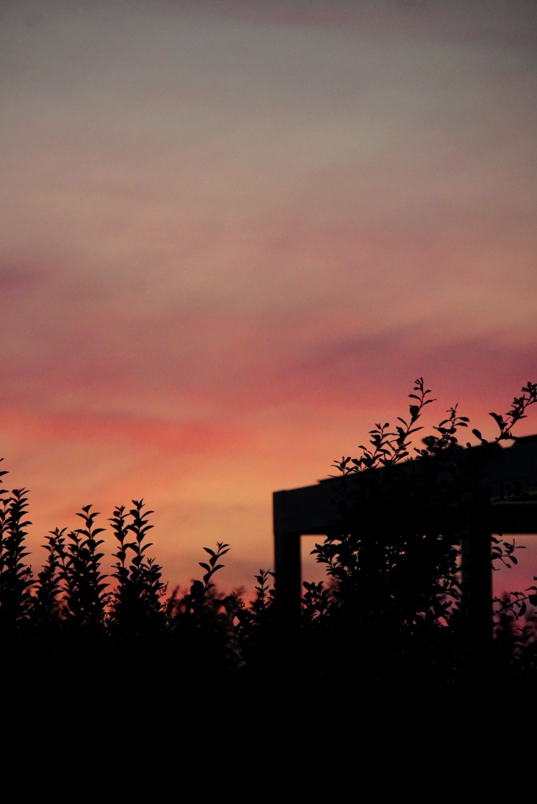 Sunset Roof