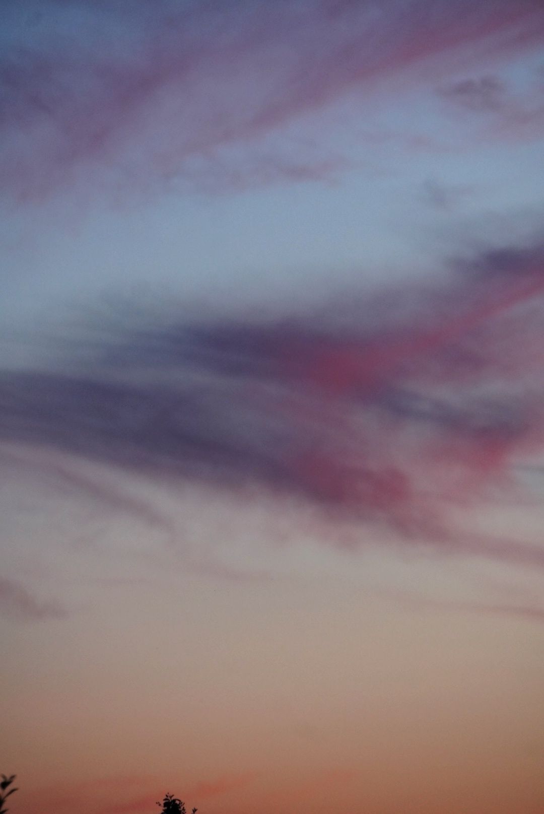 Sunset Sky